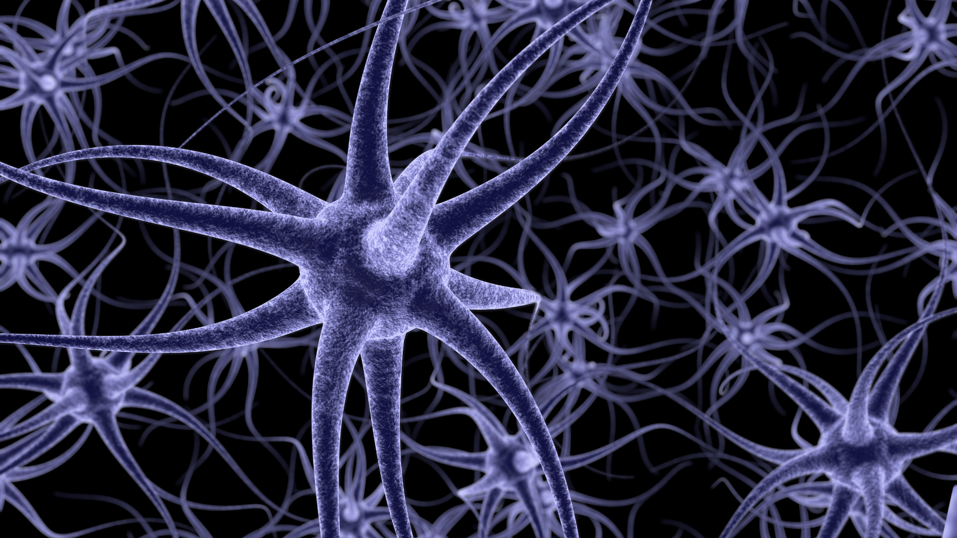 Proyecto M97 Neuromodulación